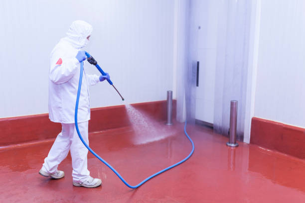 Boat and Dock Cleaning in Summit, IL